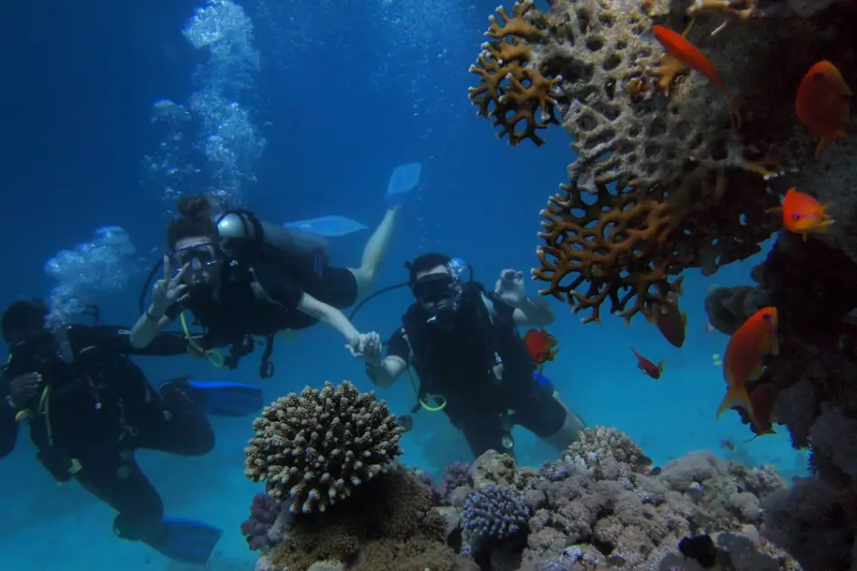Diving Group