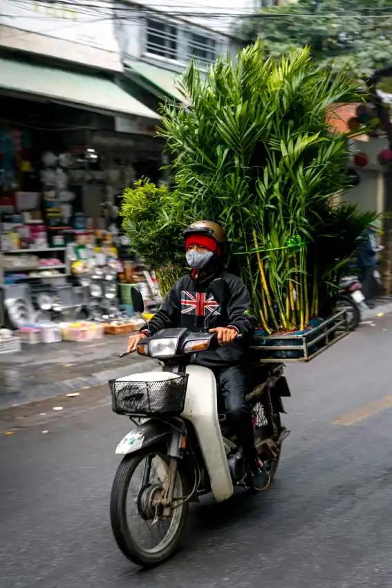authentic vietnamese street traffic culture