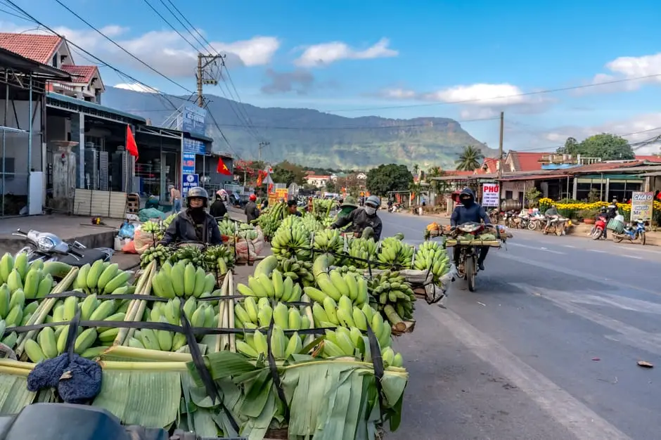 local_farmers_transport_fresh_bananas_on_motorbikes_along_a_bustling_r.webp