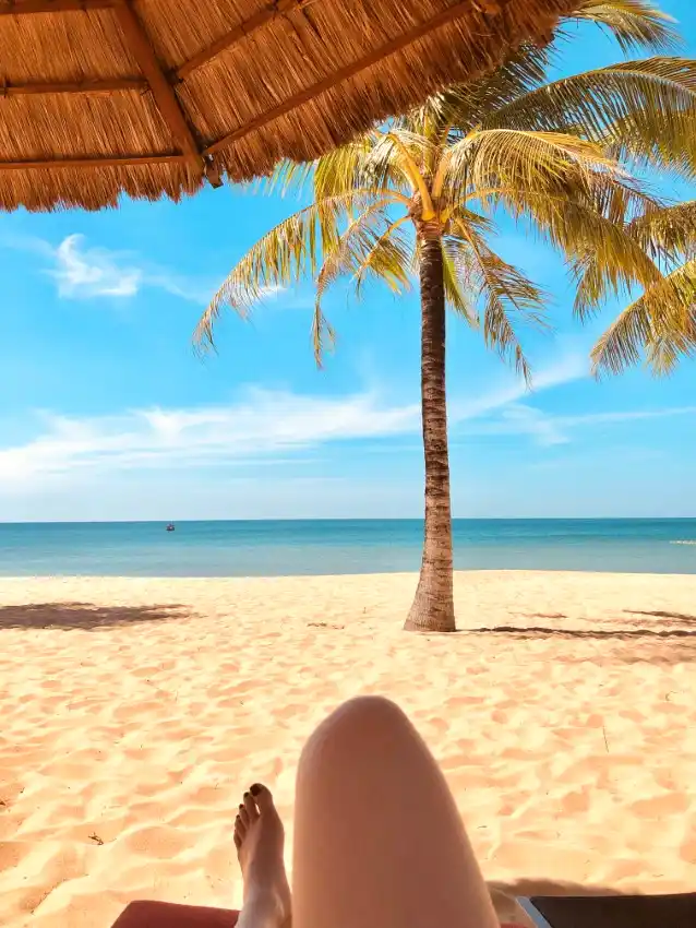 long beach phu quoc palm tree