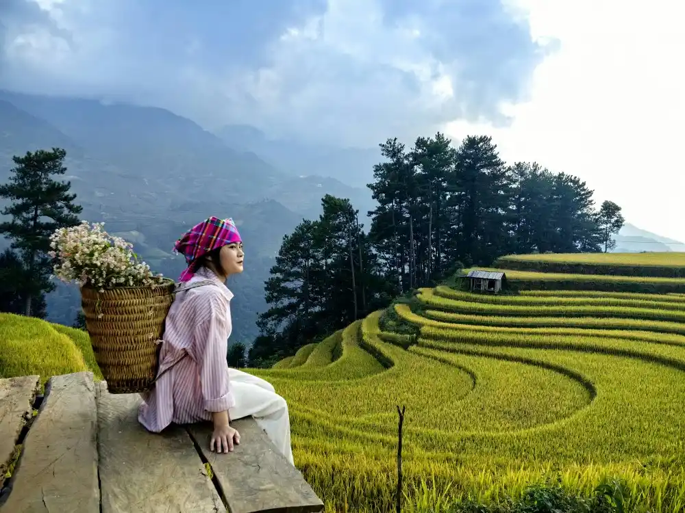 mu cang chai rice terraces