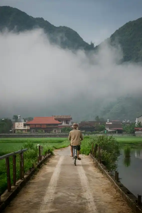 ninh binh rural village bicycle