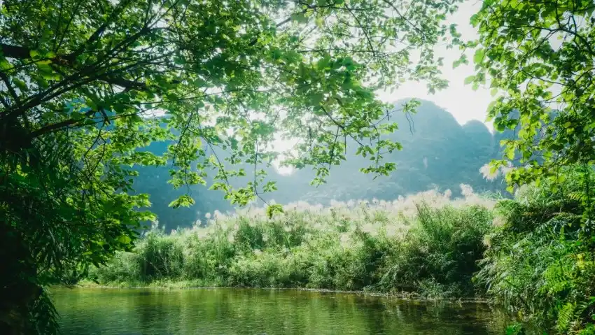 ninh binh trang an limestone karst river