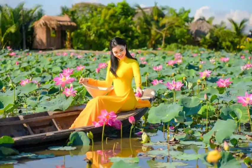 Planning a North To South Vietnam route? Discover the ultimate travel guide covering transport, train routes, mid-range budgets, and must-see destinations.