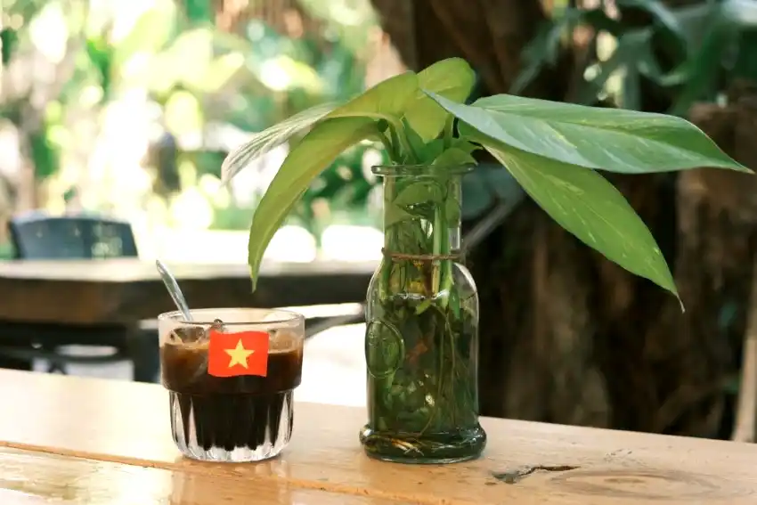 vietnamese iced black coffee ca phe da